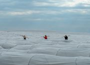 Adana’da örtü altı karpuz hasadında geri sayım başladı